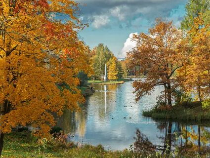 Отзывы осени