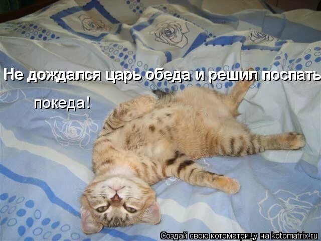 не дождетесь. не дождался и уснул. не дождётесь картинки прикольные. что зря пришли. не дождался с работы.