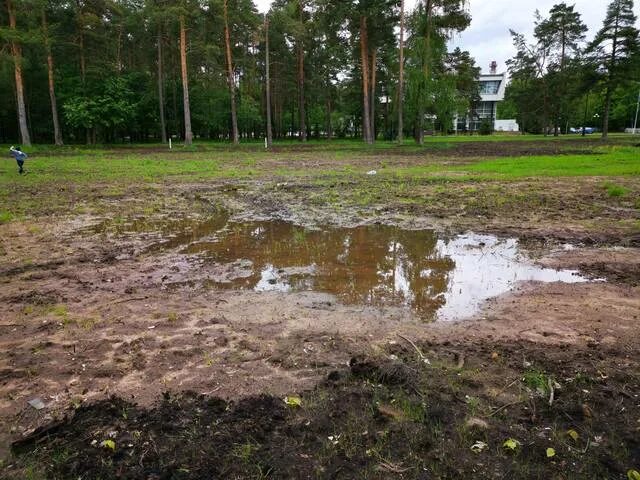 Вода из грязной лужи. Лужа грязи. Грязная лужа. Грязное поле. Лужи на участке.