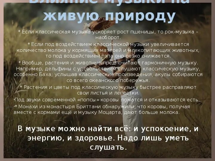 Музыкальный фон. Музыка во благо музыка во вред. Ребенок играет на скрипке. Ускоренная музыка. Учитель скрипки.