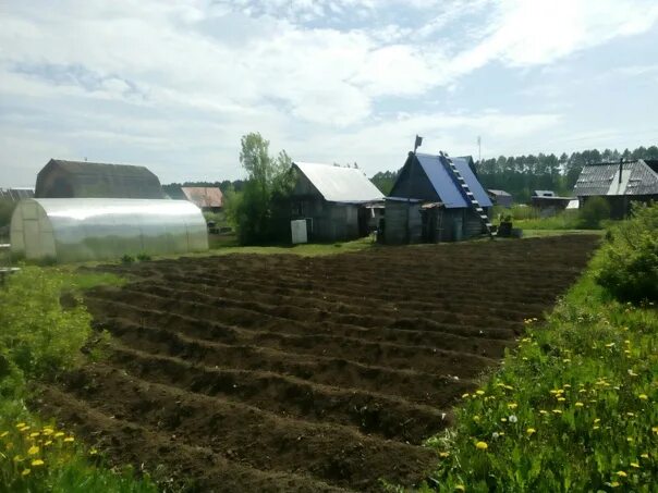 Платошинское сельское поселение. Село Платошино Пермский край. Платошинское яйцо, посёлок Кукуштан. Кукуштан Пермский край администрация.