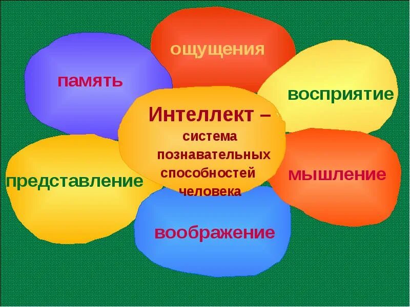 Внимание память мышление воображение. Восприятие память мышление. Восприятие внимание память мышление. Ощущение восприятие память мышление.