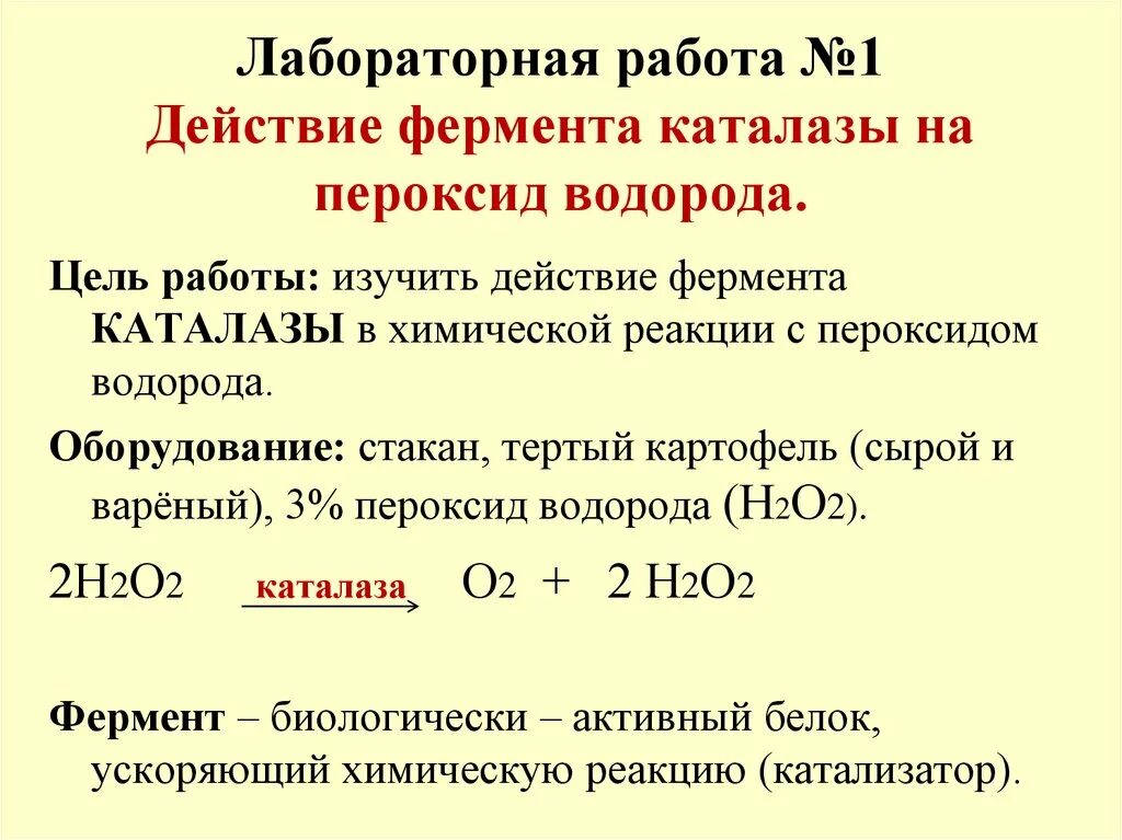 Химические действия ферментов. Лабораторная работа действие фермента каталазы на пероксид водорода. Действие каталазы на пероксид водорода лабораторная работа. Действие фермента каталазы на пероксид водорода. Каталаза фермент строение.