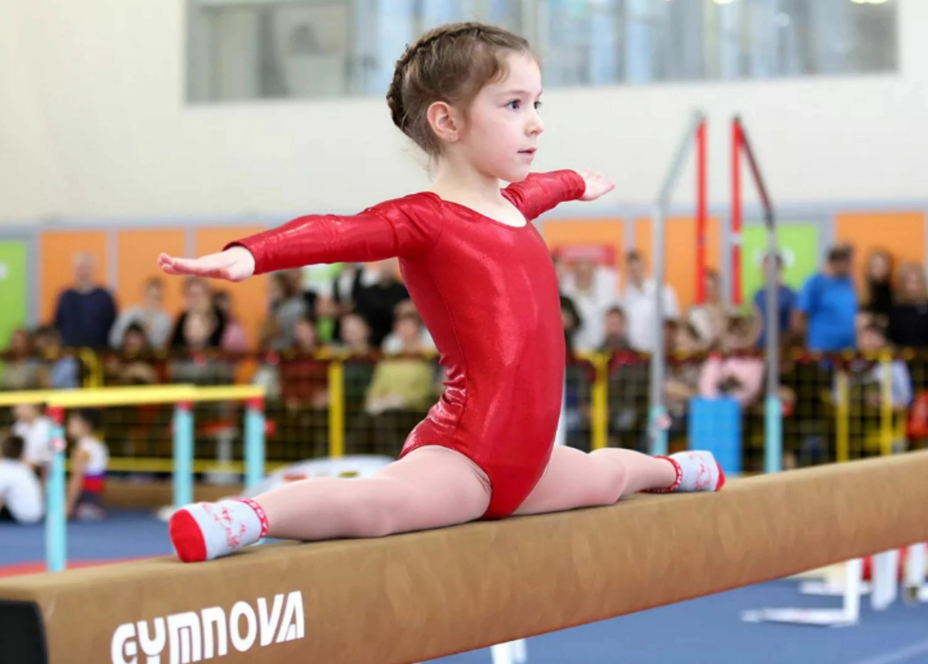 Спортивная ягимнастика