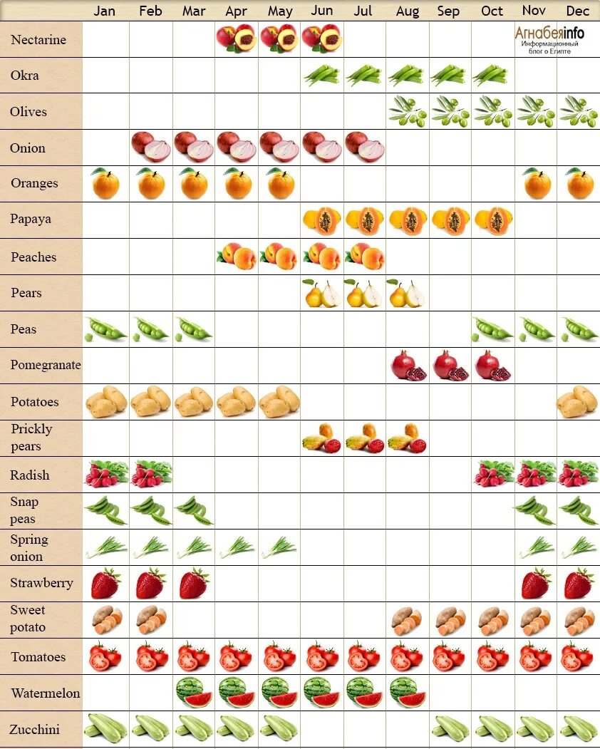 Таблица созревания овощей и фруктов в России. Сезонные фрукты и овощи по месяцам в России таблица. Сезонность овощей и фруктов таблица Россия. Сезонность фруктов в России таблица. Сезонные овощи россии