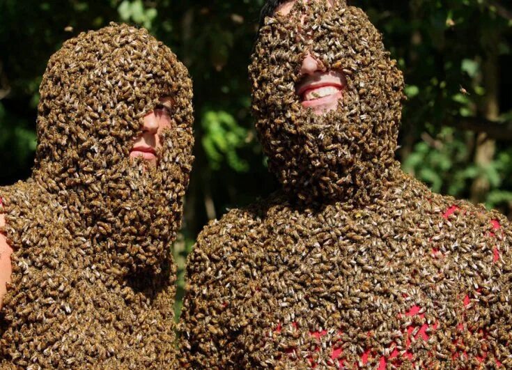 Нападения ос. Человек пчела. Пчелы облепили. Человек весь в пчелах. Костюм из пчел.