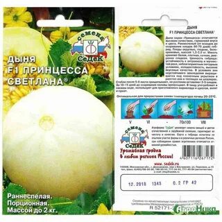 Описание характеристик дынь