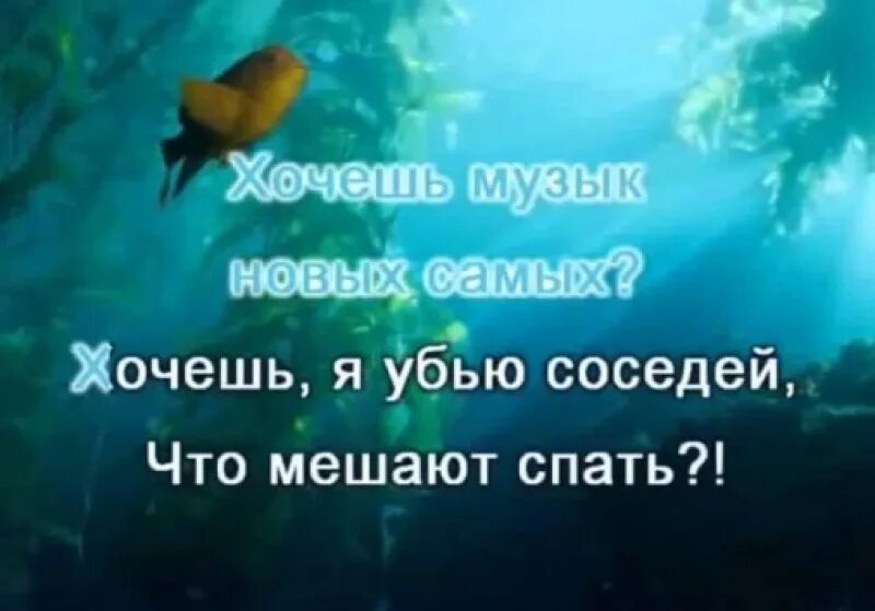 Хочешь сладких апельсинов хочешь вслух рассказов