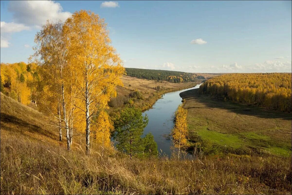 Реки россии осенью. Николина гора река осень. Красота русской природы. Пейзажи средней полосы России. Осень в России.