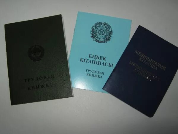 Лмк личная медицинская книжка. Сан книжка. Трудовая медкнижка. Продление медкнижки. Медицинские книжки для работников.