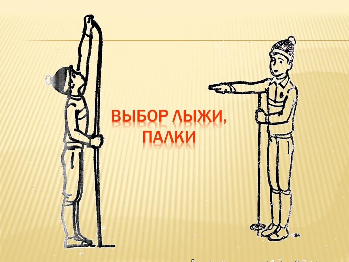 Подобрать лыжные. Как правильно выбрать лыжи. КПК выбрать лыдные палки. Подборка лыжных палок по росту. Как выбрать лыжные палки.