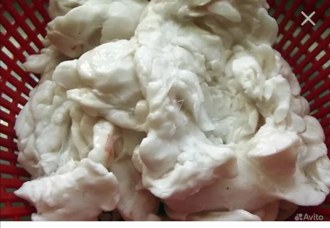 нутряное сало