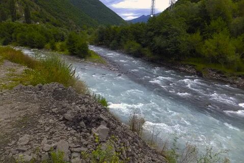 Речки род