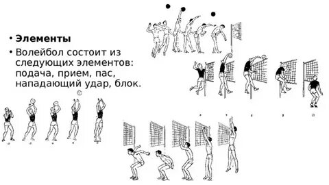 Основные элементы волейбола