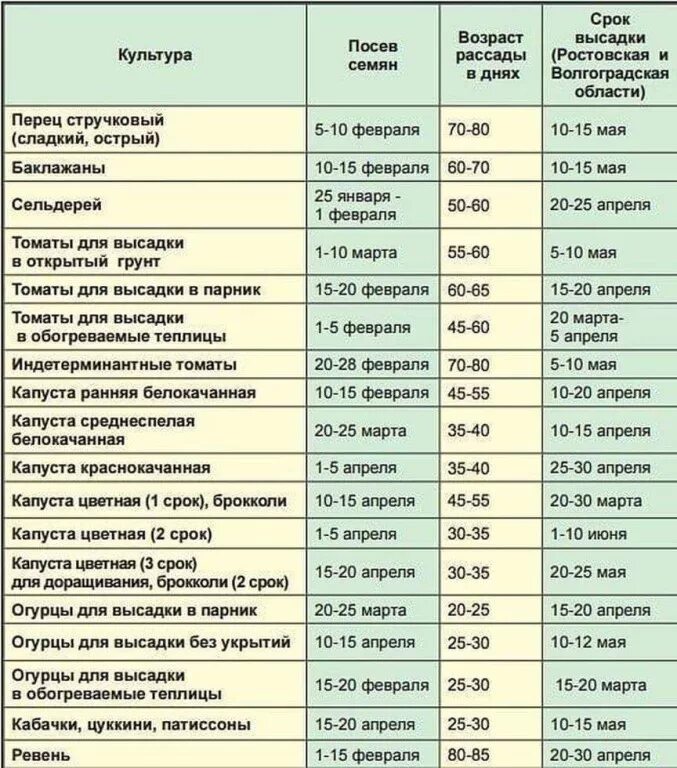 Когда нужно садить