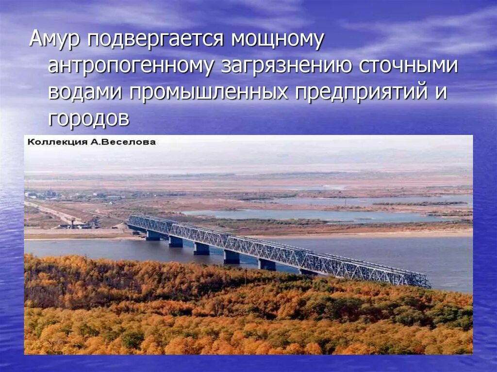 Как человек использует реку амур. Амур презентация. ширина реки амур. река амур презентация. как деятельность людей влияет на реку амур.