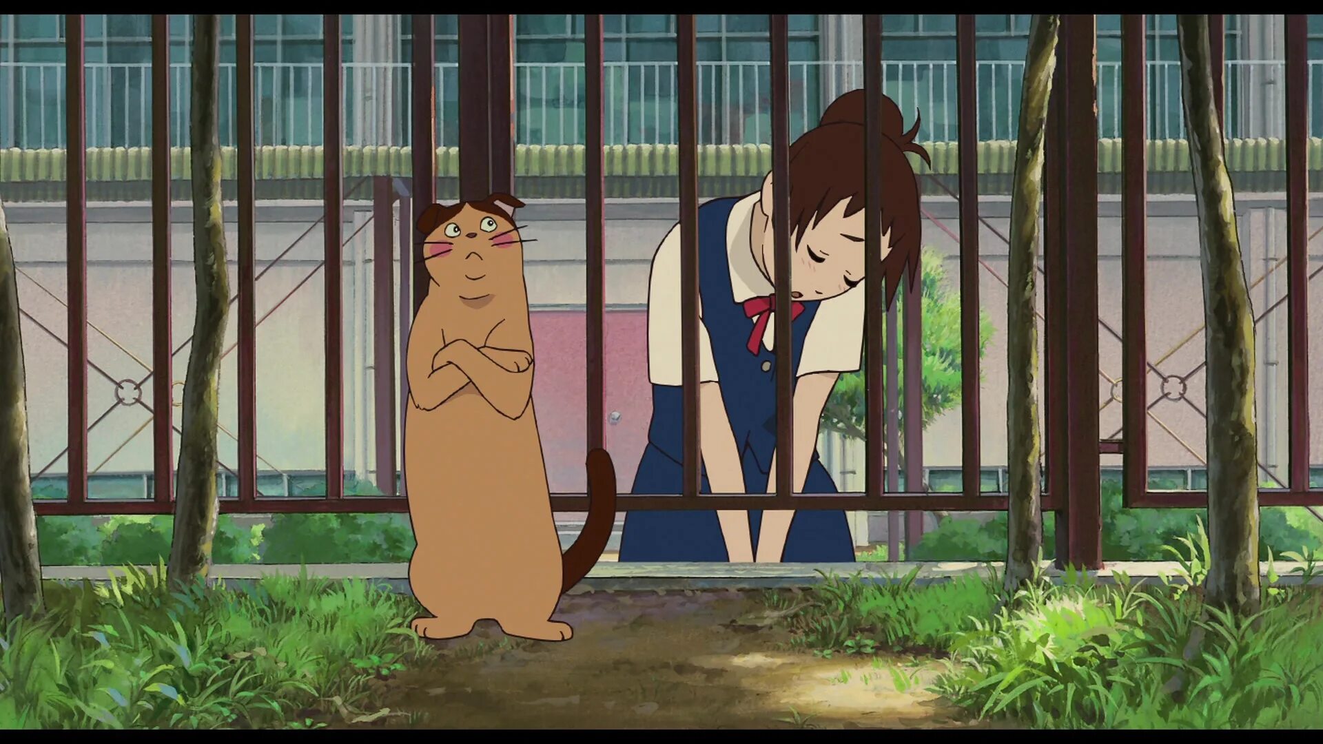Хаяо миядзаки возвращение кота. Аниме про котов хаяо миядзаки. Возвращение кота аниме постер. Кошачья благодарность. Кошачья благодарность.