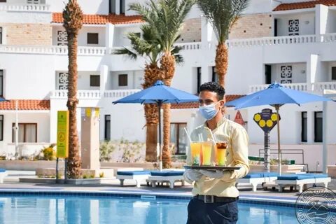 Albatros sharm ex beach 4 отзывы
