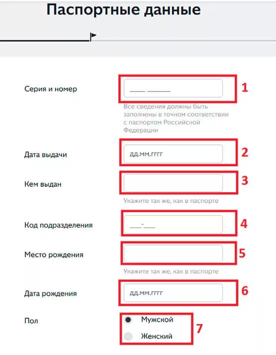 Паспортные данные что указывать. Форма ввода паспортных данных. Паспортные данные форма. Заполнить паспортные данные.
