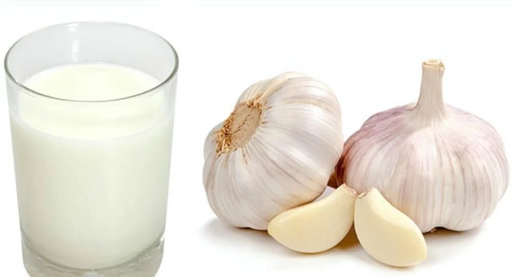 чеснок молоко и мед. чеснок с молоком. чеснок молоко вода. чеснок с молоком. отвар чеснока в молоке.