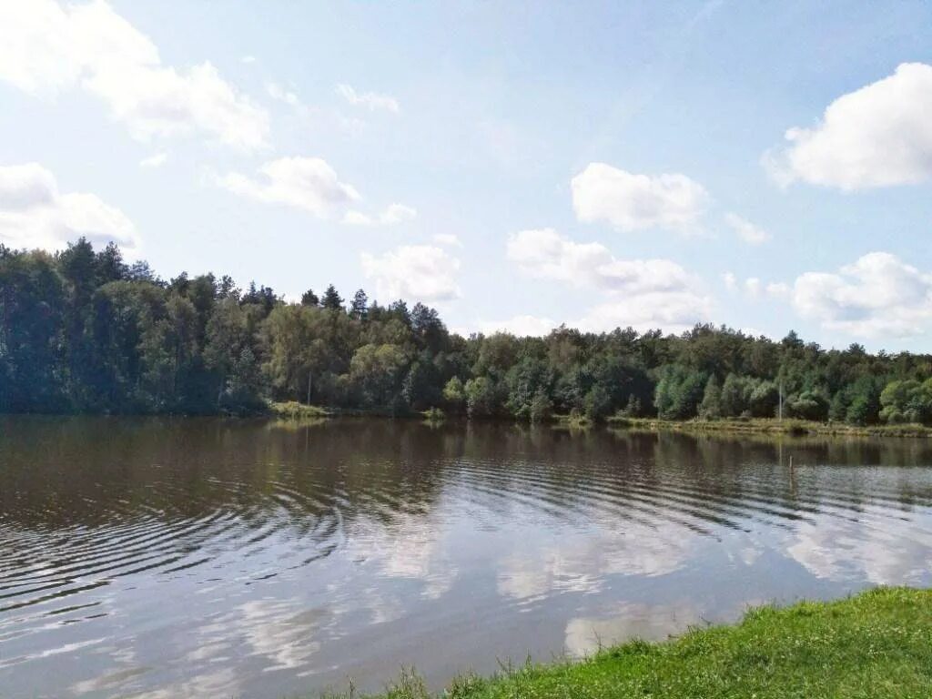 Рыбалка в орловской области в контакте. Селькин пруд Дмитровский район. Селькин пруд Орел. Селькин пруд Дмитровский район Орловской обл. Дмитровский пруд Орловская область.