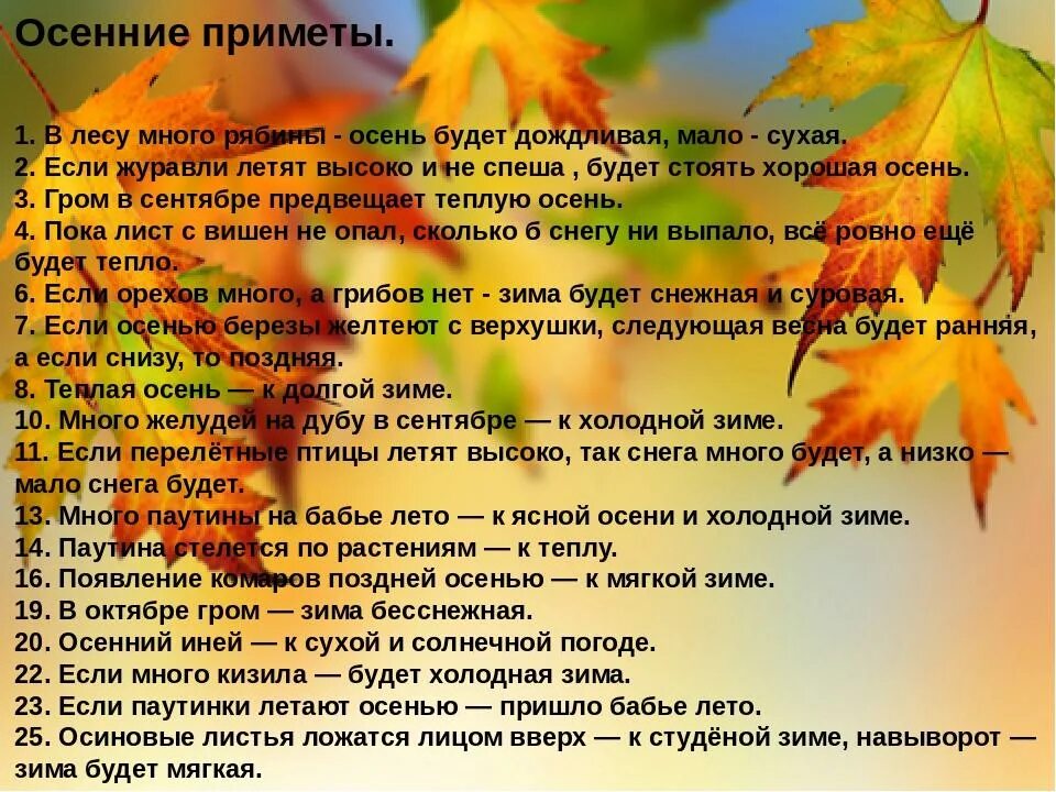 Осенние приметы. Народные приметы осени. Осенние приметы для школьников. Привет, осень!.