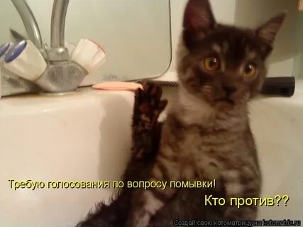 Я не позвоню не извинюсь руки вверх
