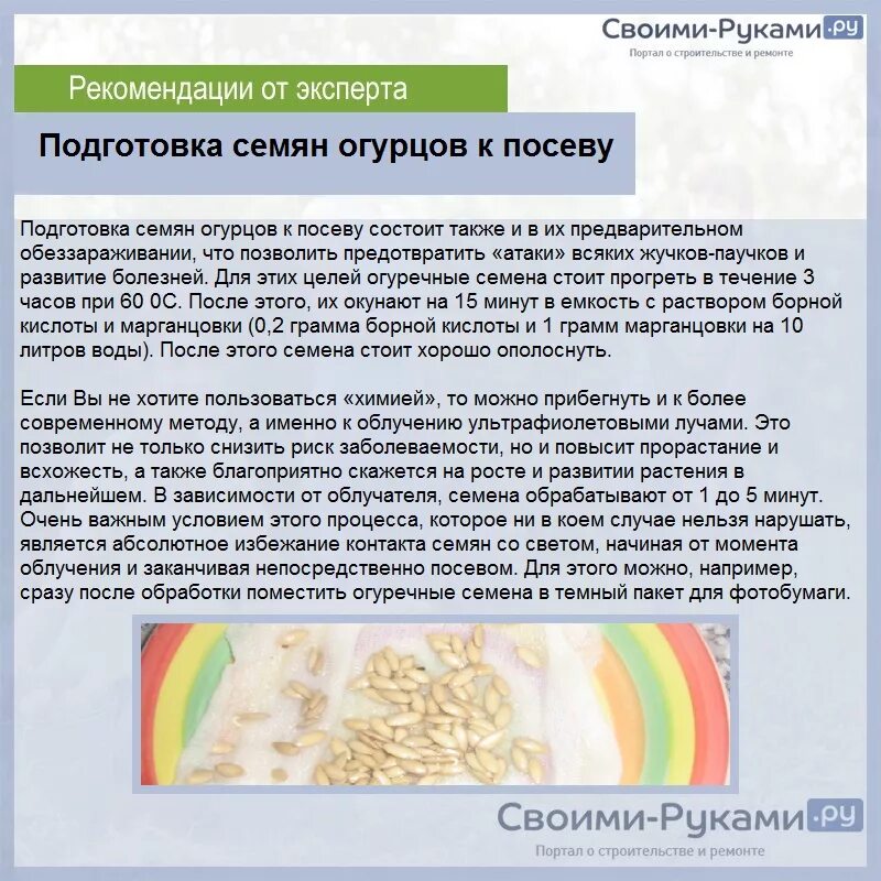 Надо ли замачивать огурцы перед посадкой. Подготовка семян к посеву. Подготовка семян огурцов. Способы подготовки семян к посеву. Подготовка семян огурца.