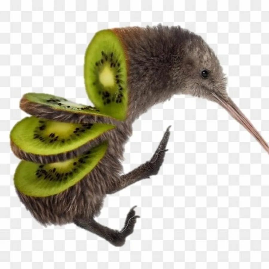 Kiwi key