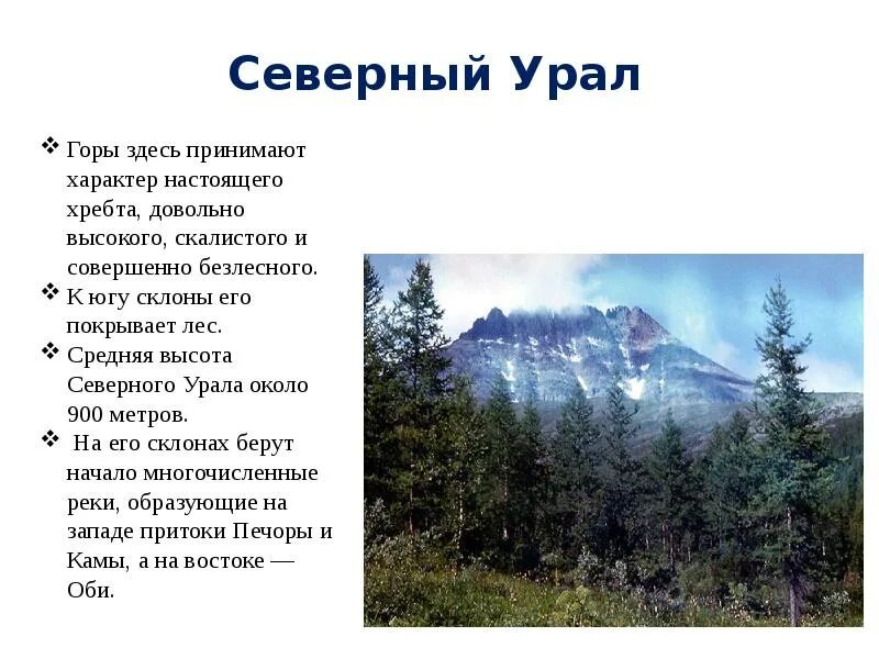 Средняя высота северного урала. Проект Уральские горы 6 класс. Уральские горы сообщение. Горы Урала описание. Уральские горы доклад.