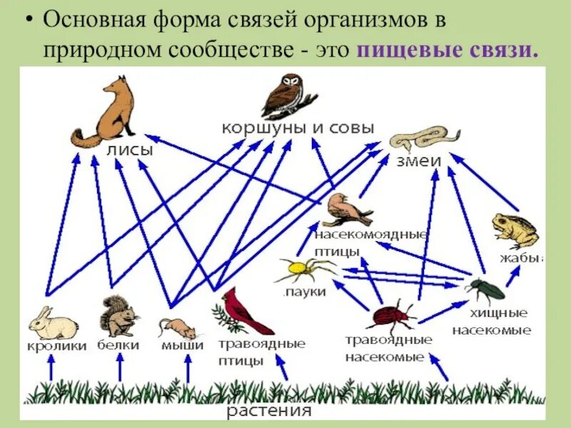 Сообщества п