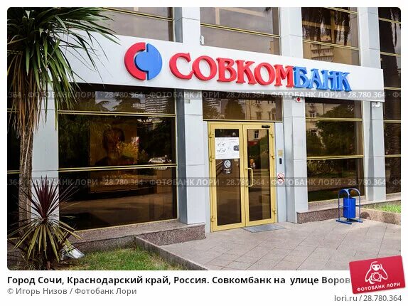 аптека 23 плюс сочи. аптека 23 + динская. разумный интерьер сочи вк. аптеки плюс 23 краснодарский край. аптека 23 плюс краснодар.