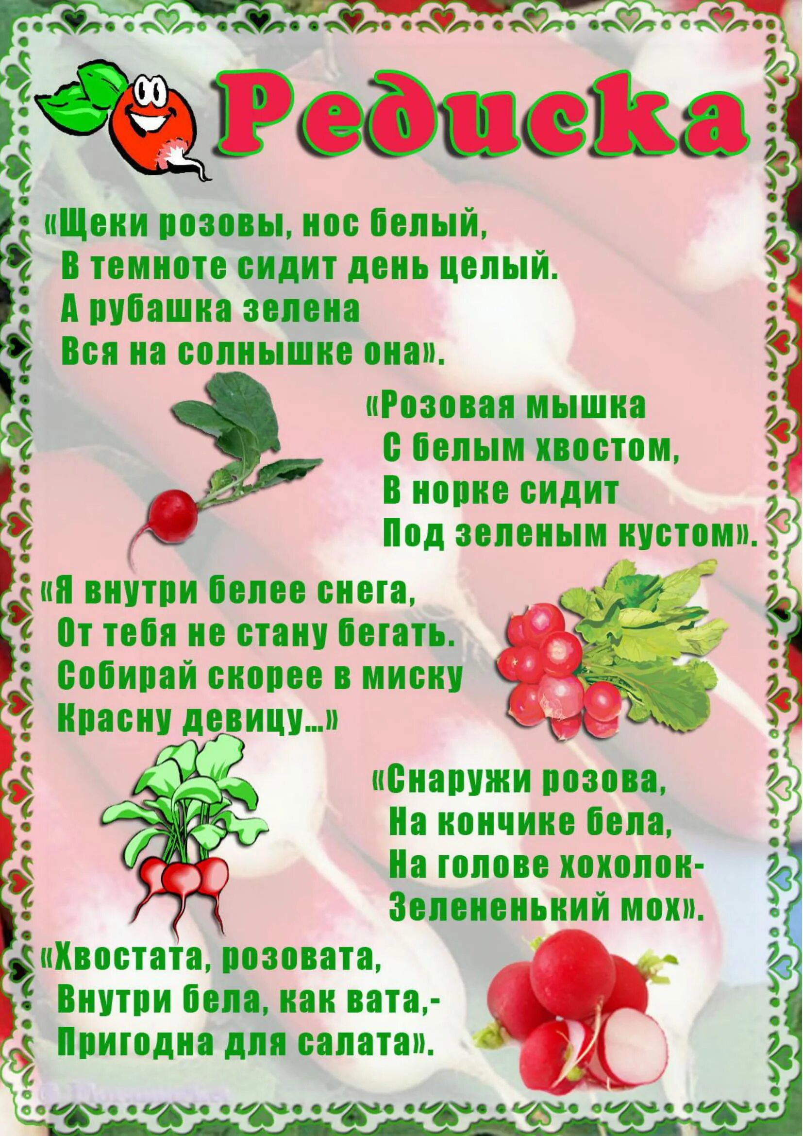 Загадки про овощи 6 лет. Загадки про овощи. Загадки про овощи для детей. Загадки дл детей про овощ. Загадки и стихи про овощи для детей.