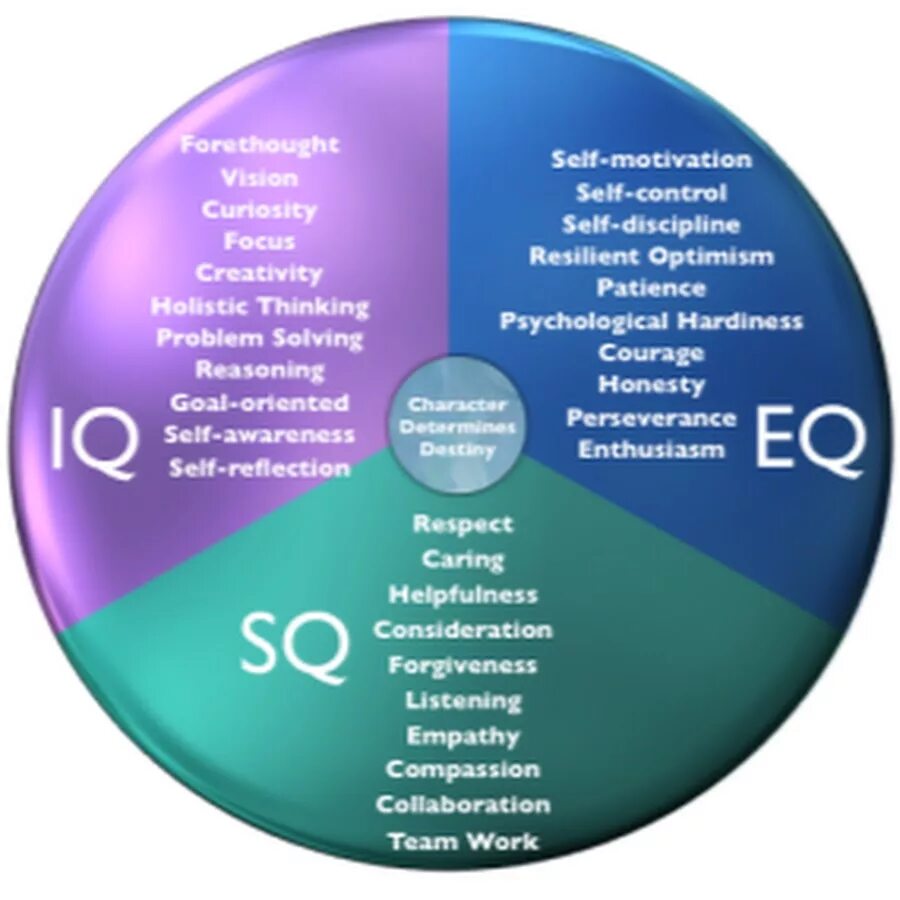 Pq iq