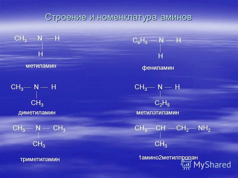 Два утверждения которые справедливы для диметиламина