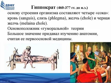 Гиппократ 8
