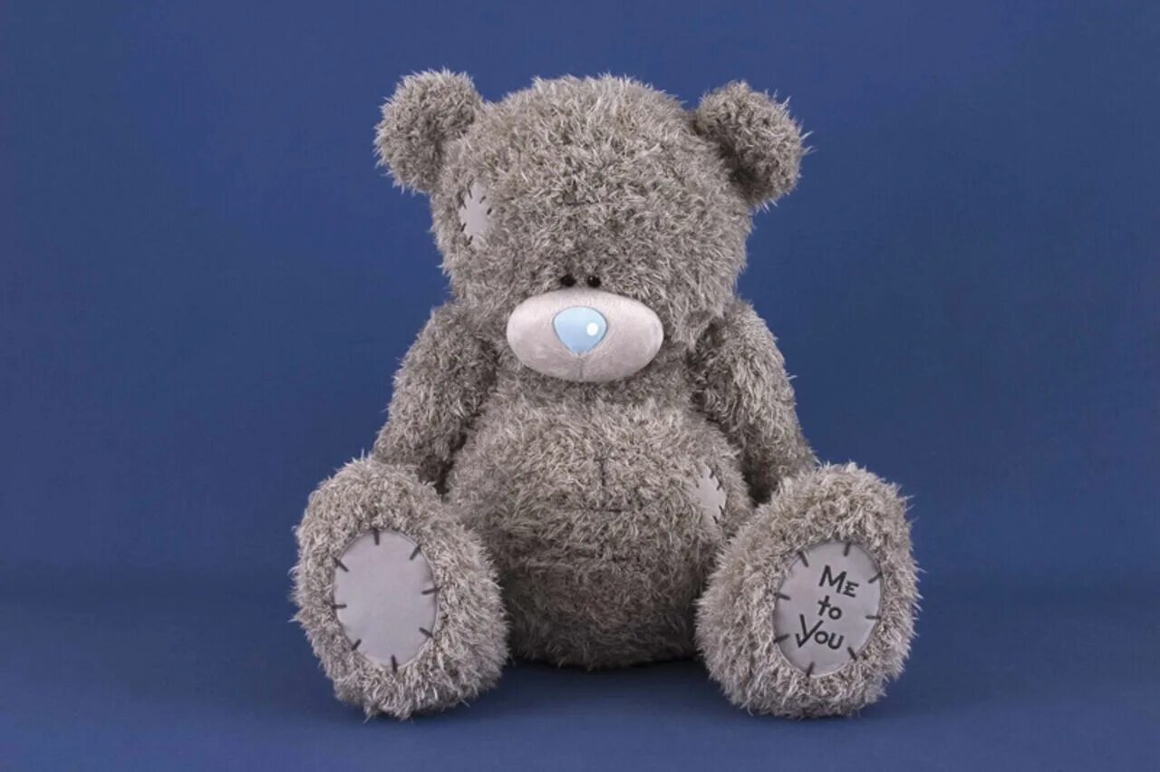 Имена для плюшевых мишек. Почему мишка тедди. Тедди беар. Имена для игрушечных мишек. Мишка тедди история происхождения.