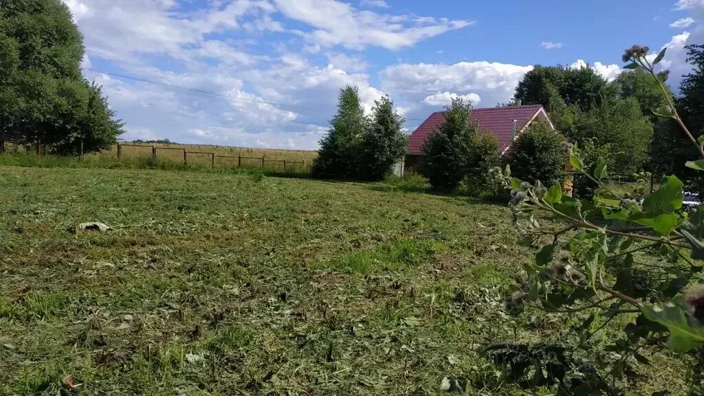 Участки тарусский район. Алекино Тарусский район Калужская область. Деревня Алекино Тарусский район. Деревня Толмачево Тарусский район Калужская область. Татьянинское Тарусский район.