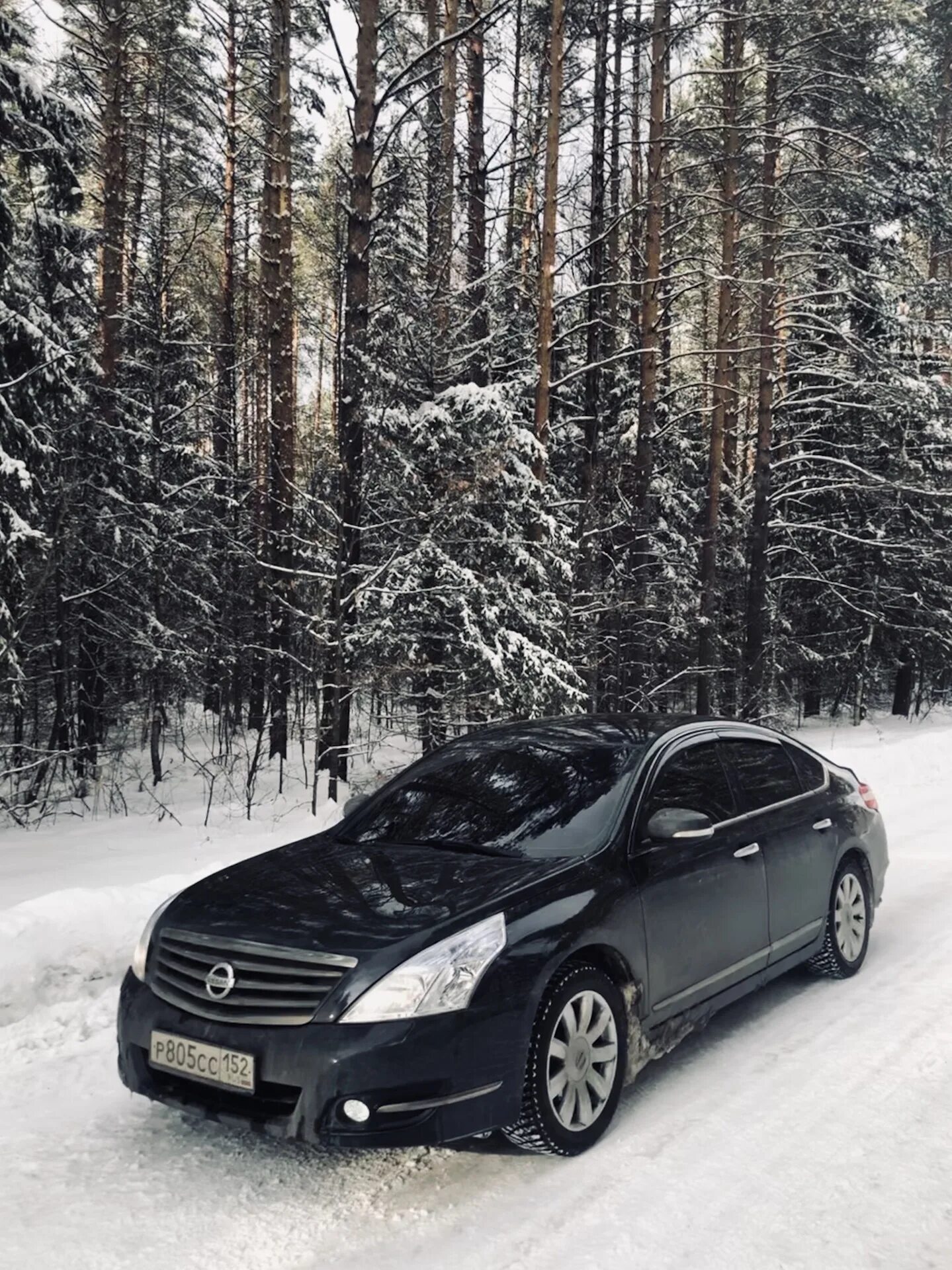 Ниссан теана 32. Ниссан сентра 2015 черный. Nissan teana j32 тонированная. Ниссан тонированный. Nissan teana j32 тонированная.