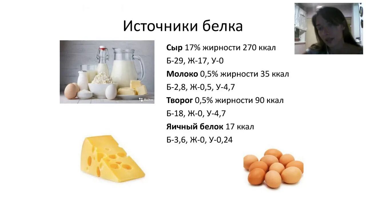 Можно ли белкам сыр