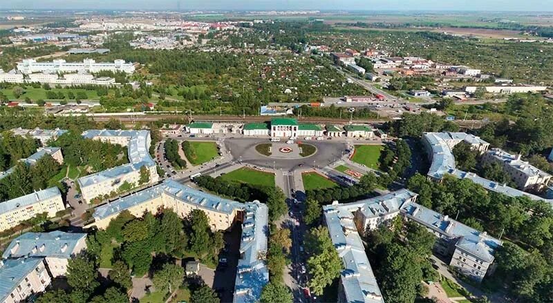 Жители города пушкина