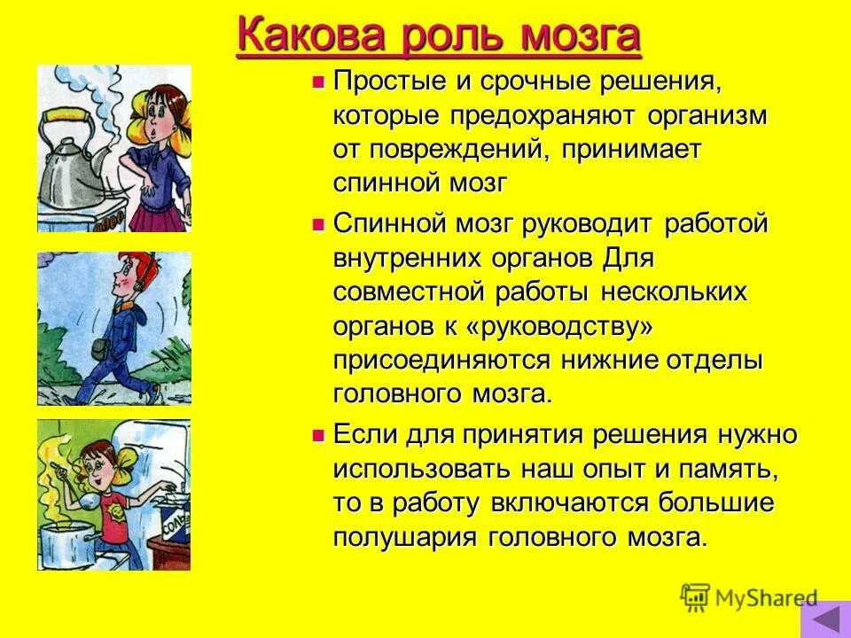 Как беречь нервную систему. Как беречь нервную систему 4 класс. Береги нервную систему 4 класс. Какова работа. Какова роль мозга