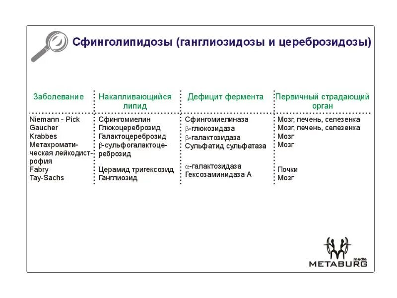 Сфинголипидозы биохимия. Нарушение липидного обмена болезни. Транспорт липидов в печень. Сфинголипидоз тип наследования. Дислипидемии лабораторная диагностика.