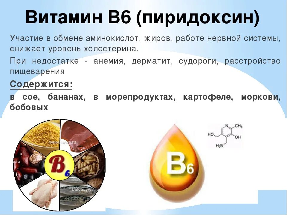 Норма витамина б6. Витамин б6 пиридоксин. Пиридоксин витамин в6. Витамин b6 (пиридоксин) функции. Витамин b6 биологическая роль.
