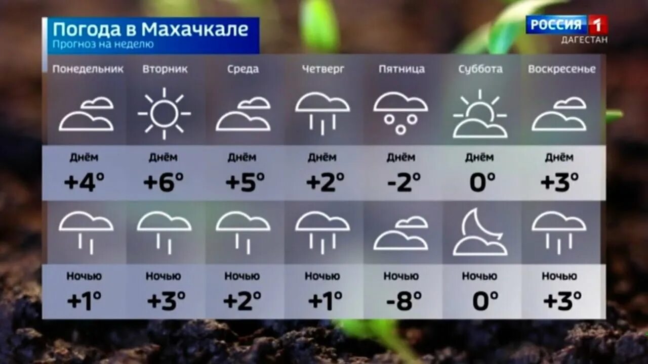 Какая погода в дагестане. Погода в Махачкале на неделю. Прогноз погоды в Дагестане. Погода в Дагестане на неделю. Погода в Махачкале на сегодня.