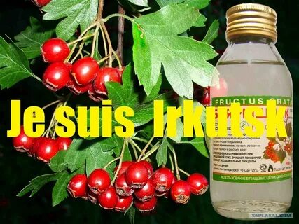 Боярышник для чего применяется