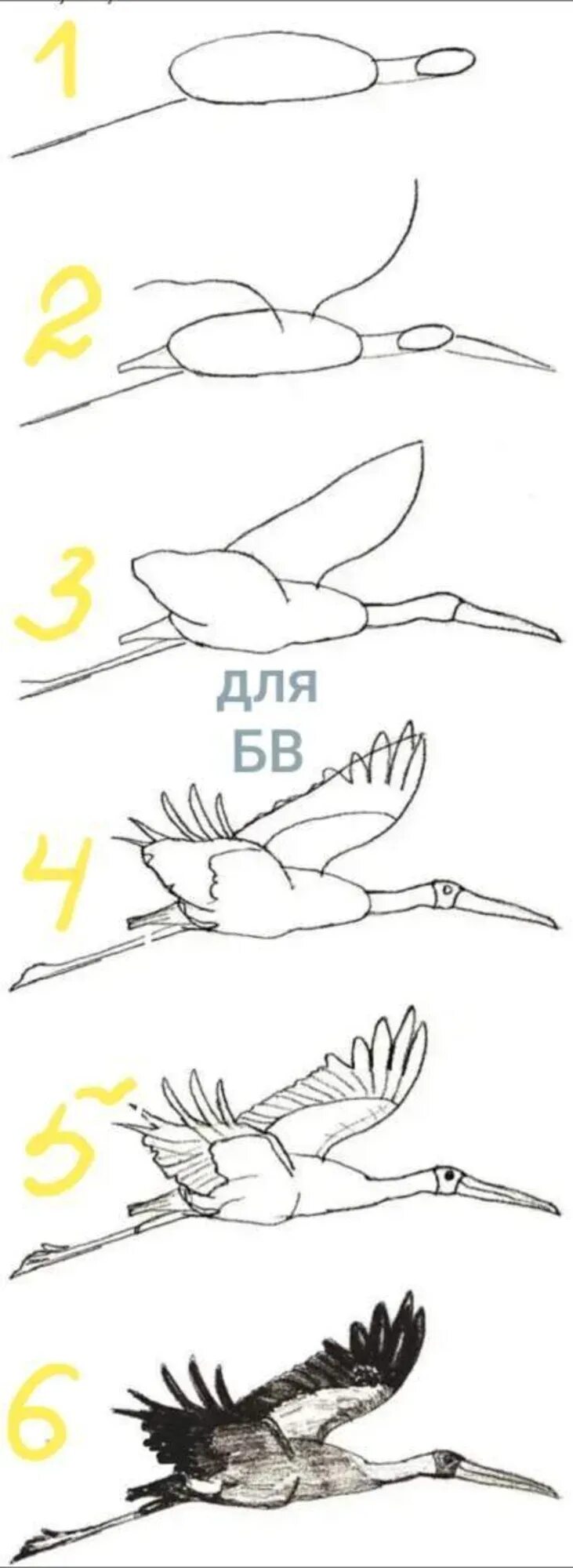 Журавли для рисования. Журавль рисунок. Журавль в полете рисунок. Журавль рисунок для детей. Журавль поэтапно карандашом