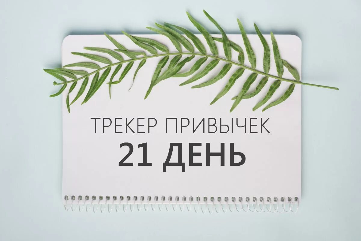 21 день картинка. Крекер привыяек 21 день. Трекер 21 день. Трекер привычек 21. Трекер привычки привычки 21 день.
