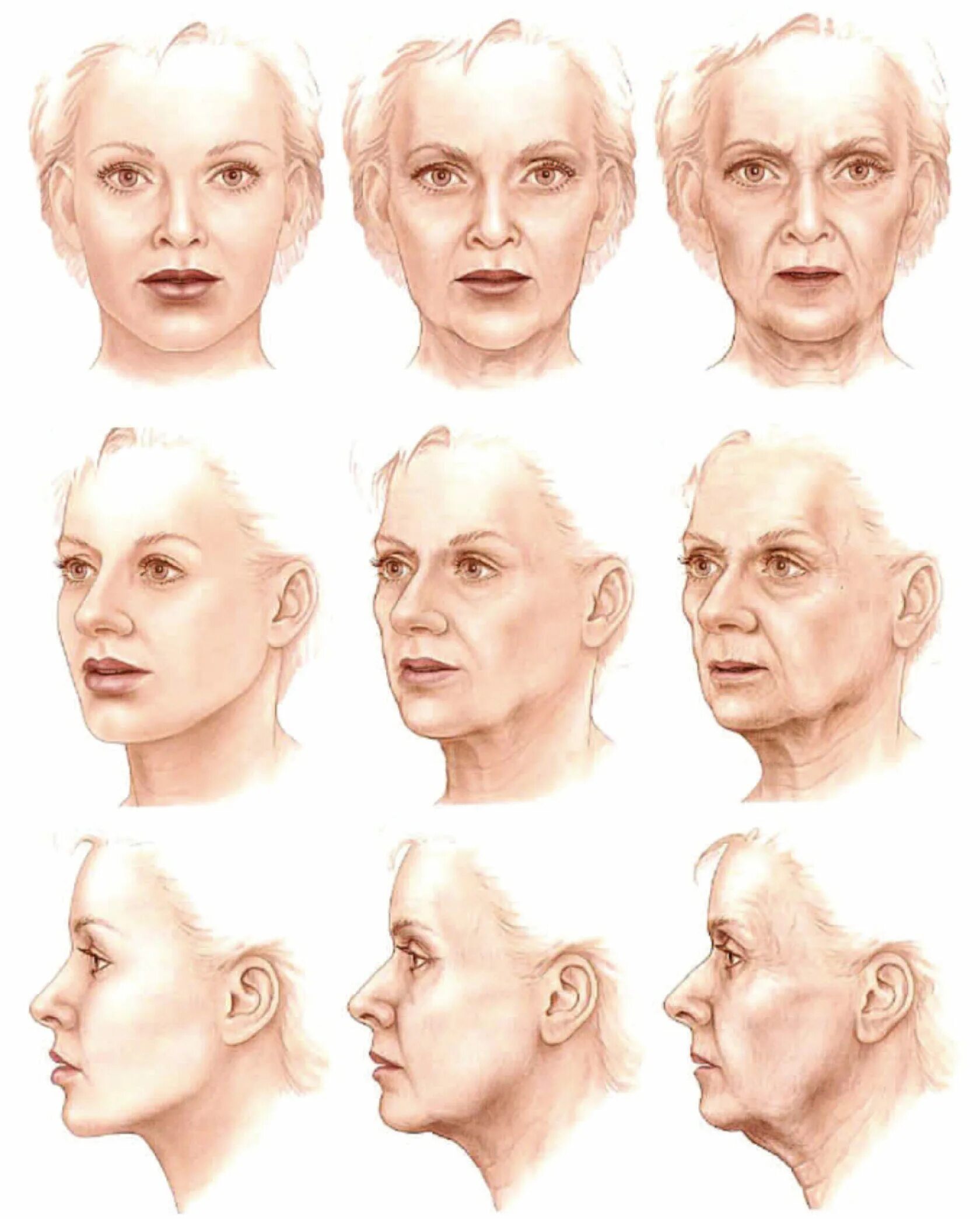 Возрастные изменения лица. Старение лица. Старческое лицо. Возрастные изменения кожи лица. Ageing pdf