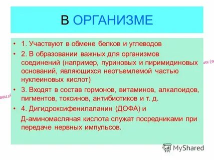 Участвует один организм